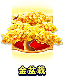 金盆栽-icon